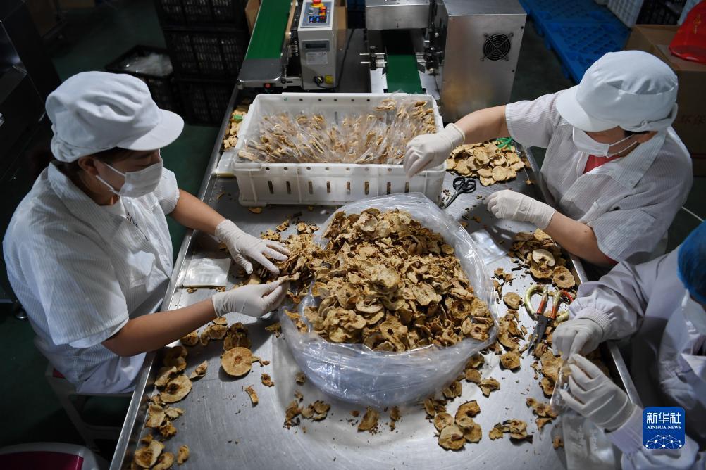 打鱼手游送分的